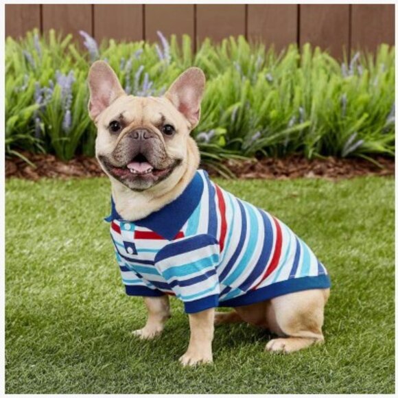 Striped Blue, Red, White Dog Polo Shirt - Picture 1 of 9